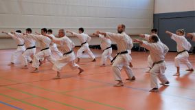 k-2018-03-31_Nintai_LG RT_DSC_1550 2.JPG