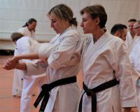 k-2018-03-31_Nintai_LG RT_DSC_1642 2.JPG