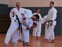 k-2018-03-31_Nintai_LG RT_DSC_1688 2.JPG