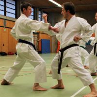 2018-01-13_Nintai_LG RT Jan Janik Sensei_DSC_0799.jpg