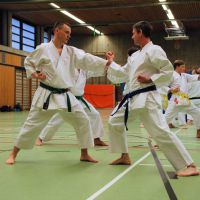2018-01-13_Nintai_LG RT Jan Janik Sensei_DSC_0827.jpg