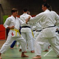 2018-01-13_Nintai_LG RT Jan Janik Sensei_DSC_0842.jpg