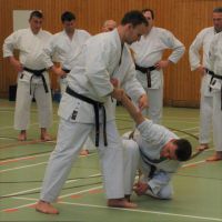 2018-01-13_Nintai_LG RT Jan Janik Sensei_DSC_1241.jpg