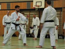 2018-01-13_Nintai_LG RT Jan Janik Sensei_DSC_1361.jpg