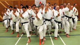 2018-01-13_Nintai_LG RT Jan Janik Sensei_DSC_1418.jpg